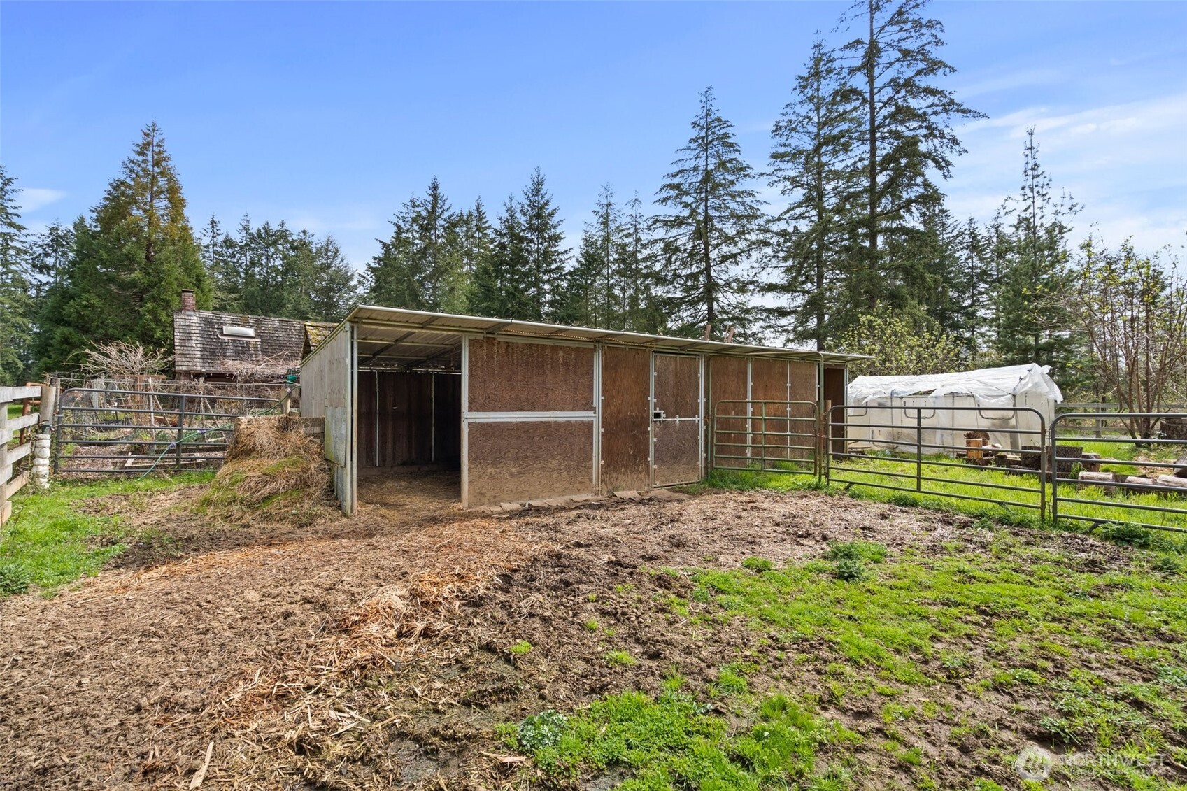 288 Hewitt Road Chehalis, WA 98532 - Photo 34 of 40 a backyard of a house with lots of green space