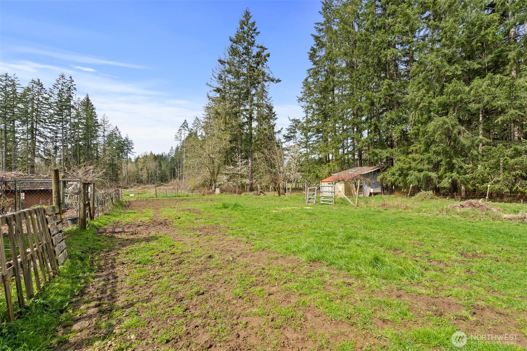 288 Hewitt Road Chehalis, WA 98532 - Photo 36 of 40 a view of a garden with plants and trees