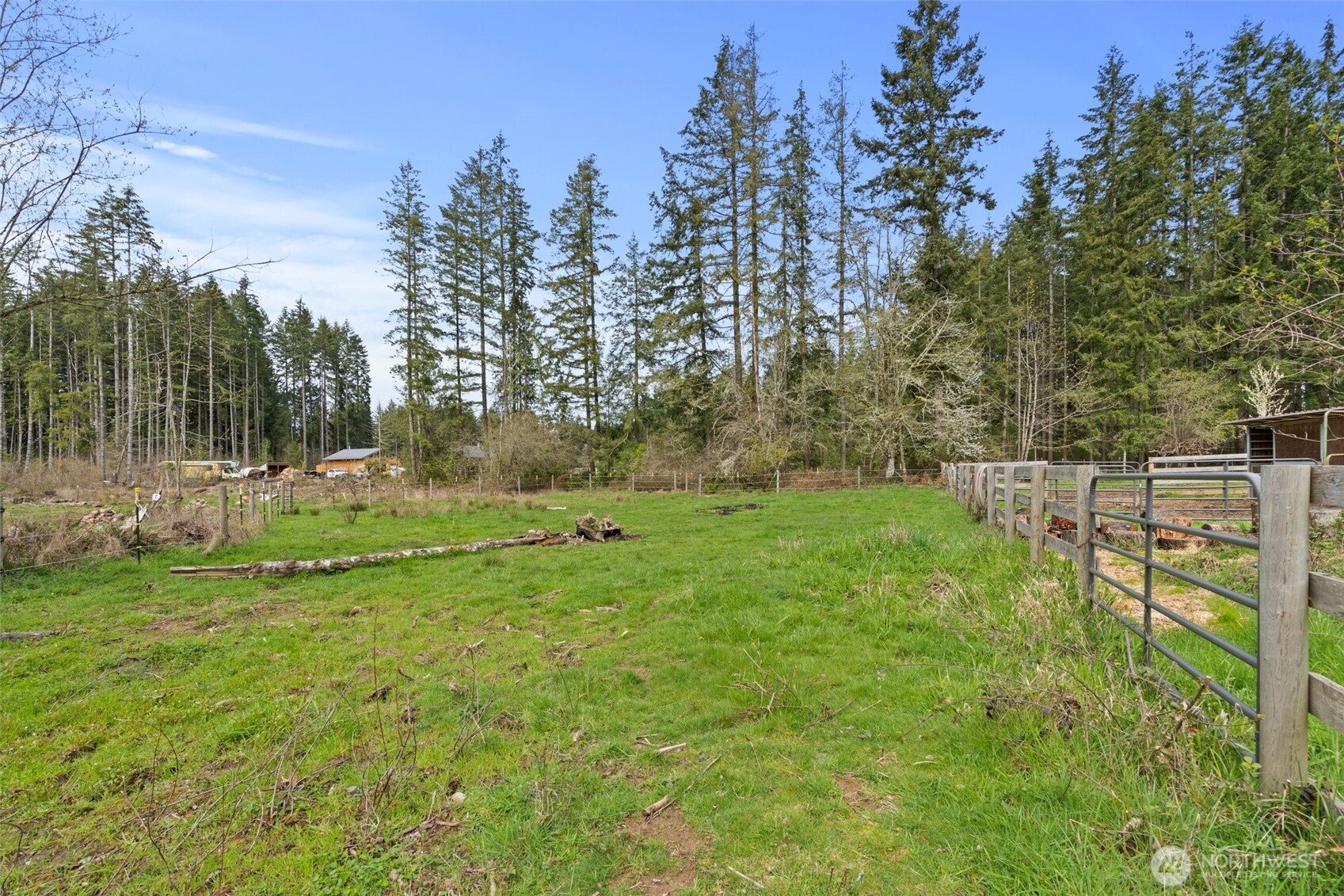 288 Hewitt Road Chehalis, WA 98532 - Photo 38 of 40 a view of a garden with a tree