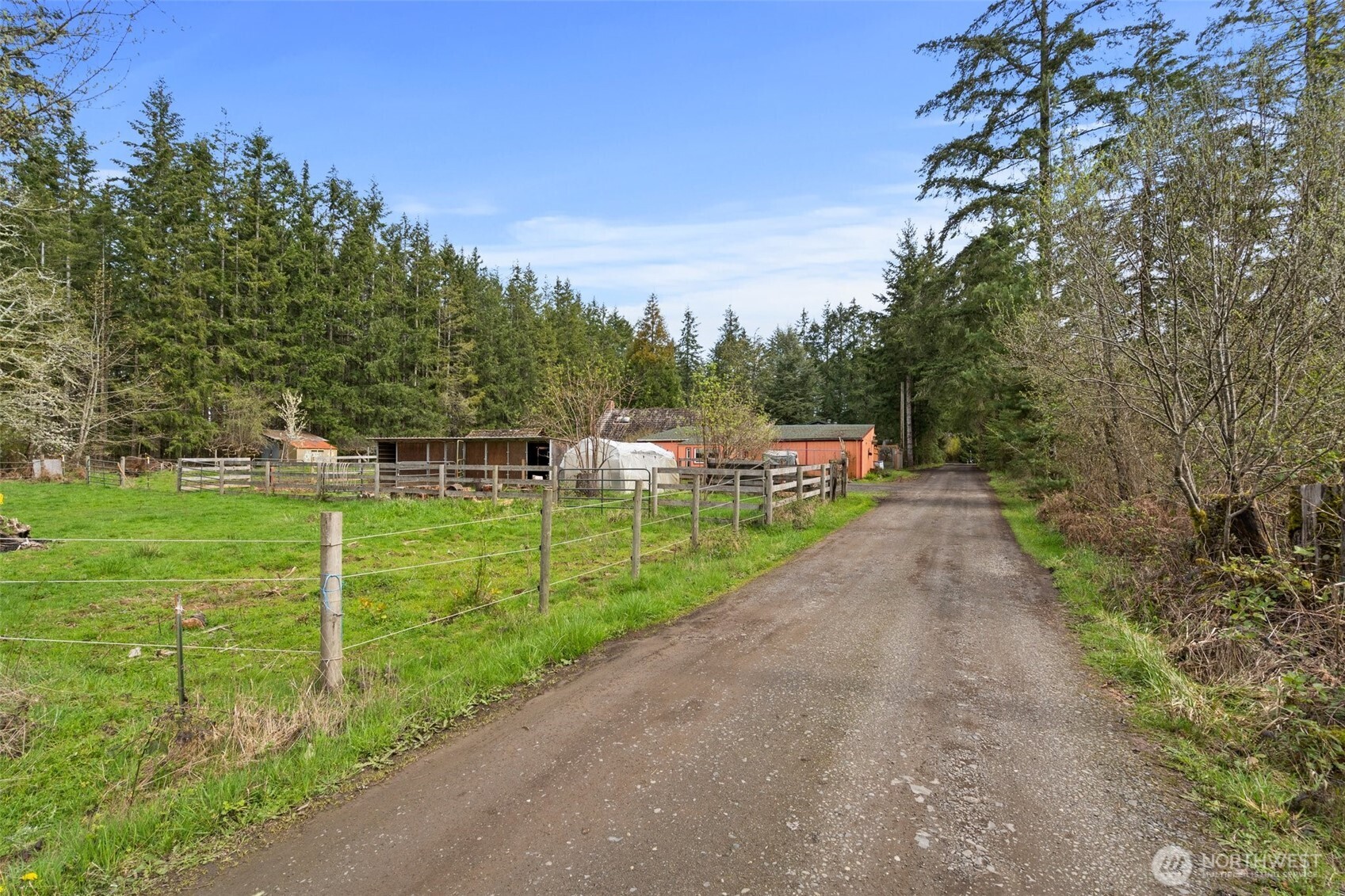 288 Hewitt Road Chehalis, WA 98532 - Photo 4 of 40 a view of a park with large trees