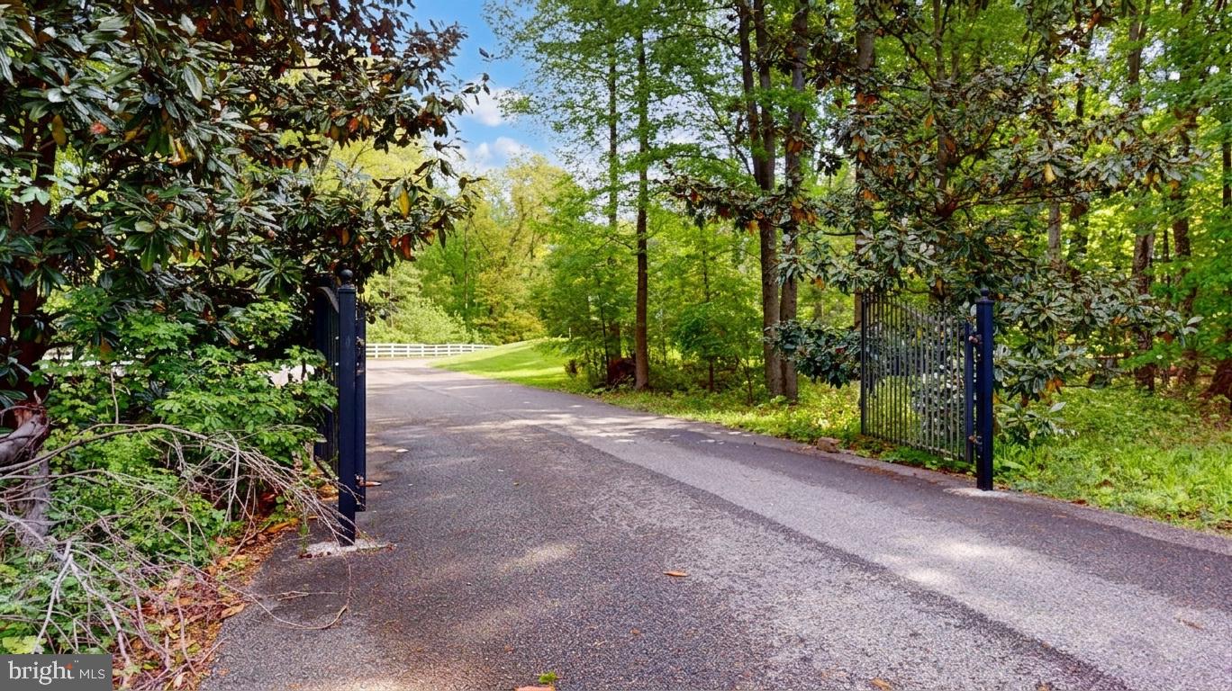 309 Ark Road Mount Laurel, NJ 08054 - Photo 4 of 60 a view of a yard with plants and trees