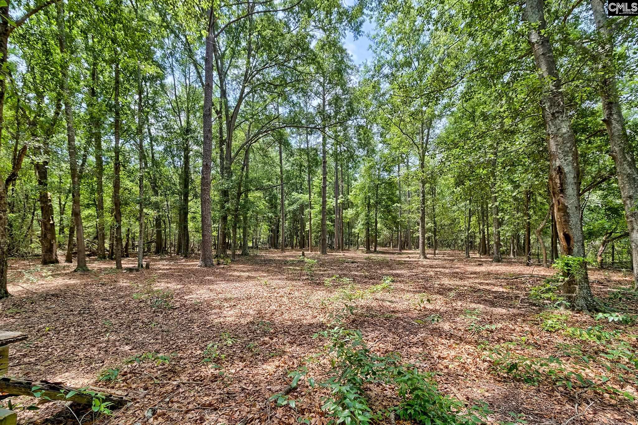 1415 State Rd S-28-55 Lugoff, SC 29078 - Photo 38 of 39 a fire hydrant in the middle of a field