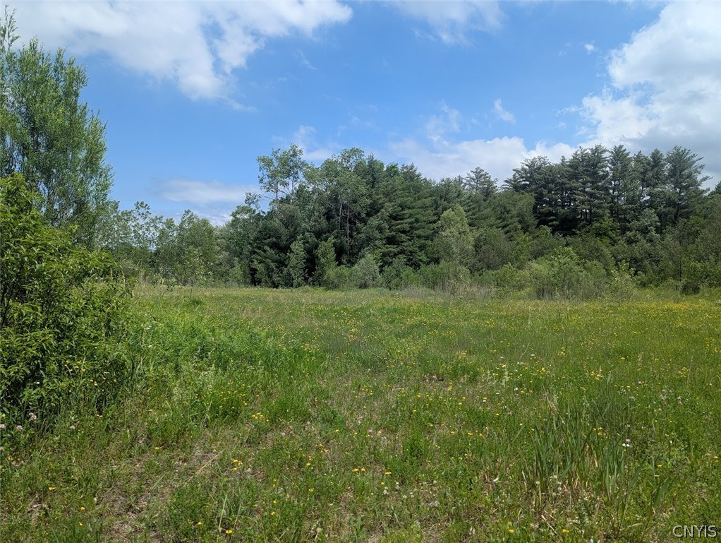 Tannery Road Rome, NY 13440 - Photo 2 of 4