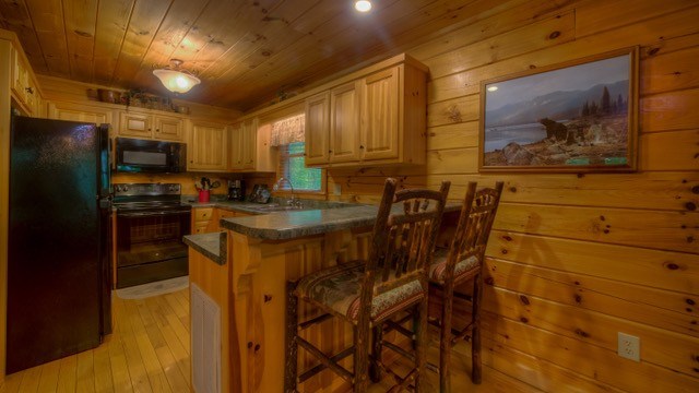 156 Cedar Ridge Road Blue Ridge, GA 30513 - Photo 3 of 32