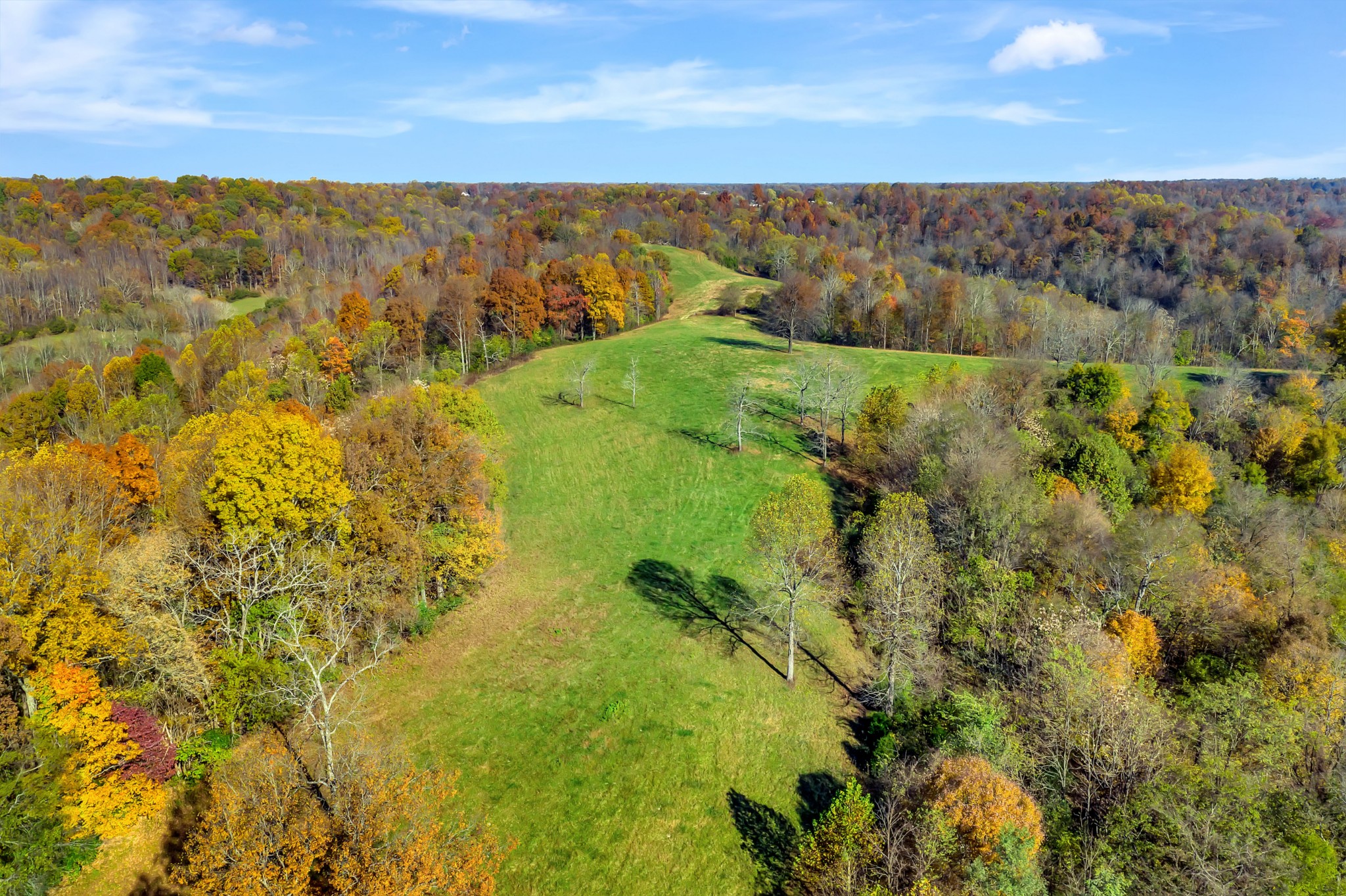 0 Buttermilk Hollow Road Bethpage, TN 37022 - Photo 1 of 14 a view of a lake with a mountain