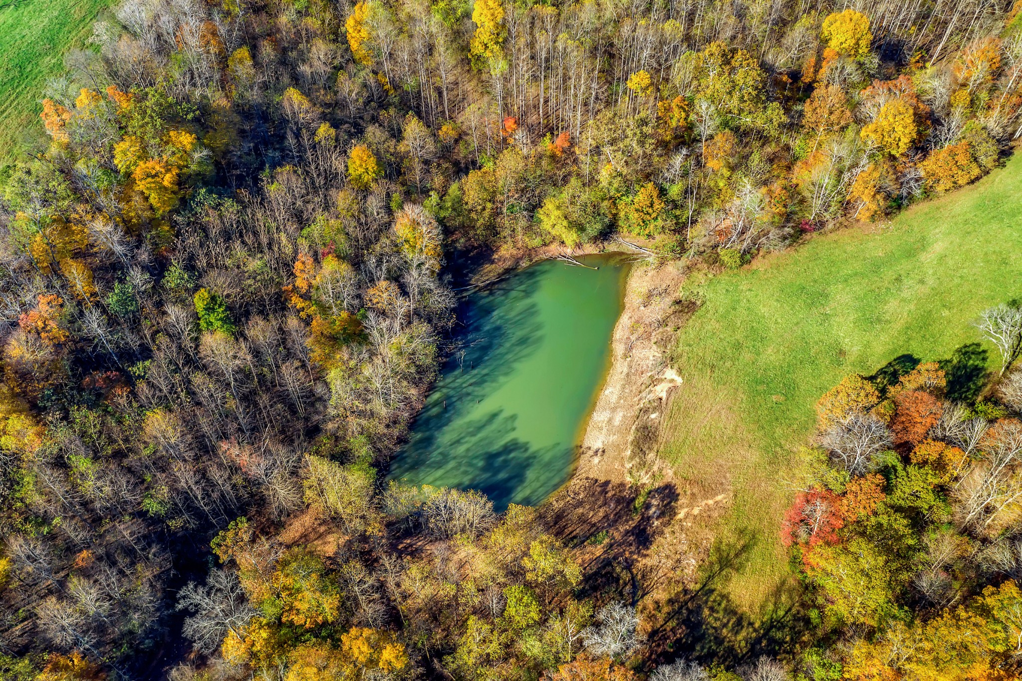 0 Buttermilk Hollow Road Bethpage, TN 37022 - Photo 3 of 14
