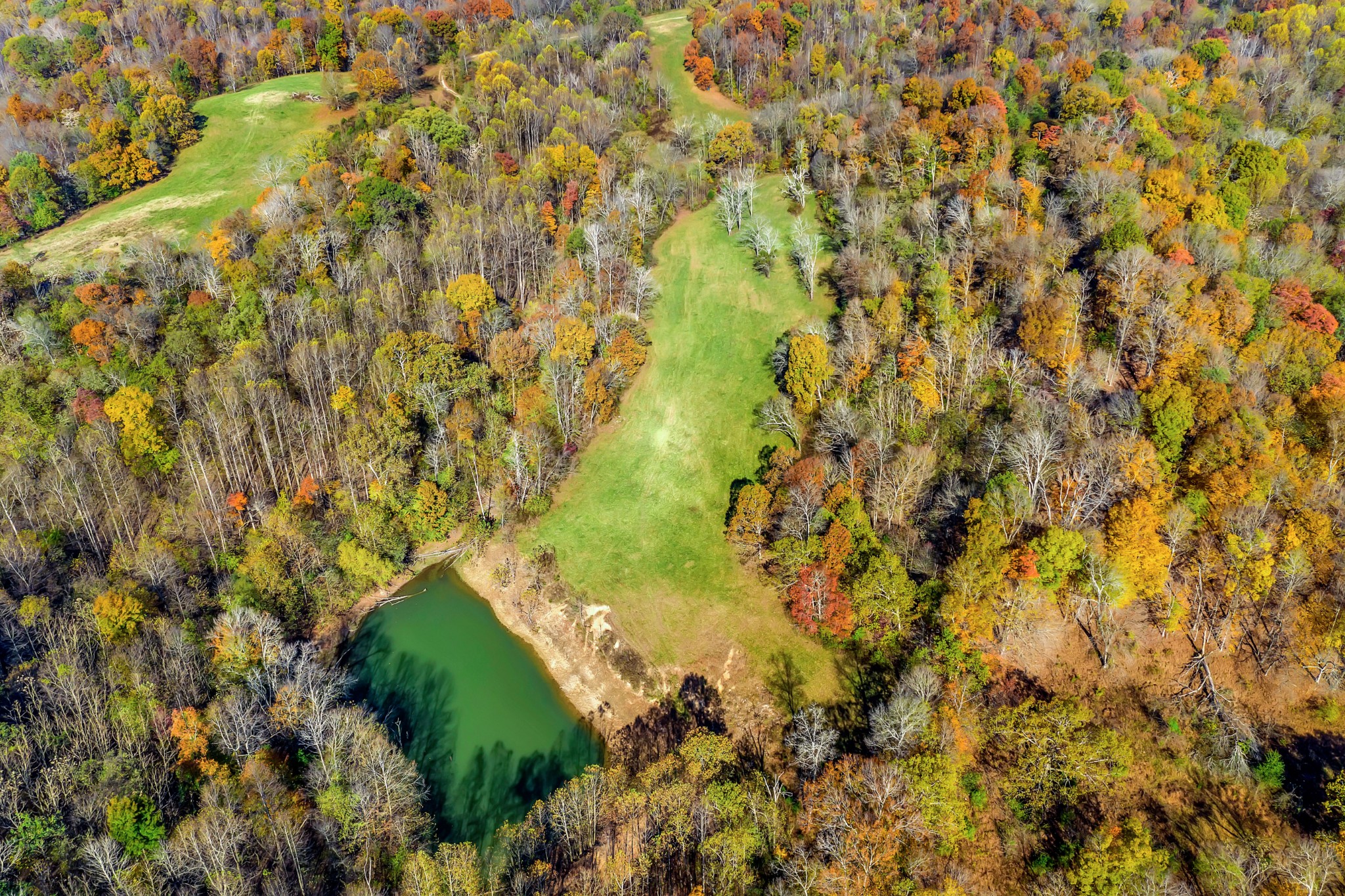 0 Buttermilk Hollow Road Bethpage, TN 37022 - Photo 4 of 14 a view of a yard