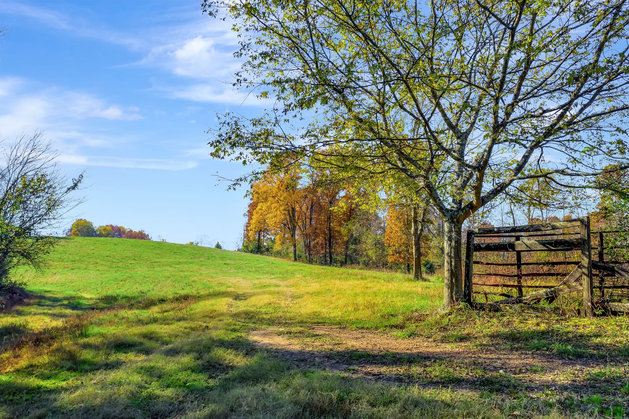 0 Buttermilk Hollow Road Bethpage, TN 37022 - Photo 6 of 14 a view of outdoor space with garden