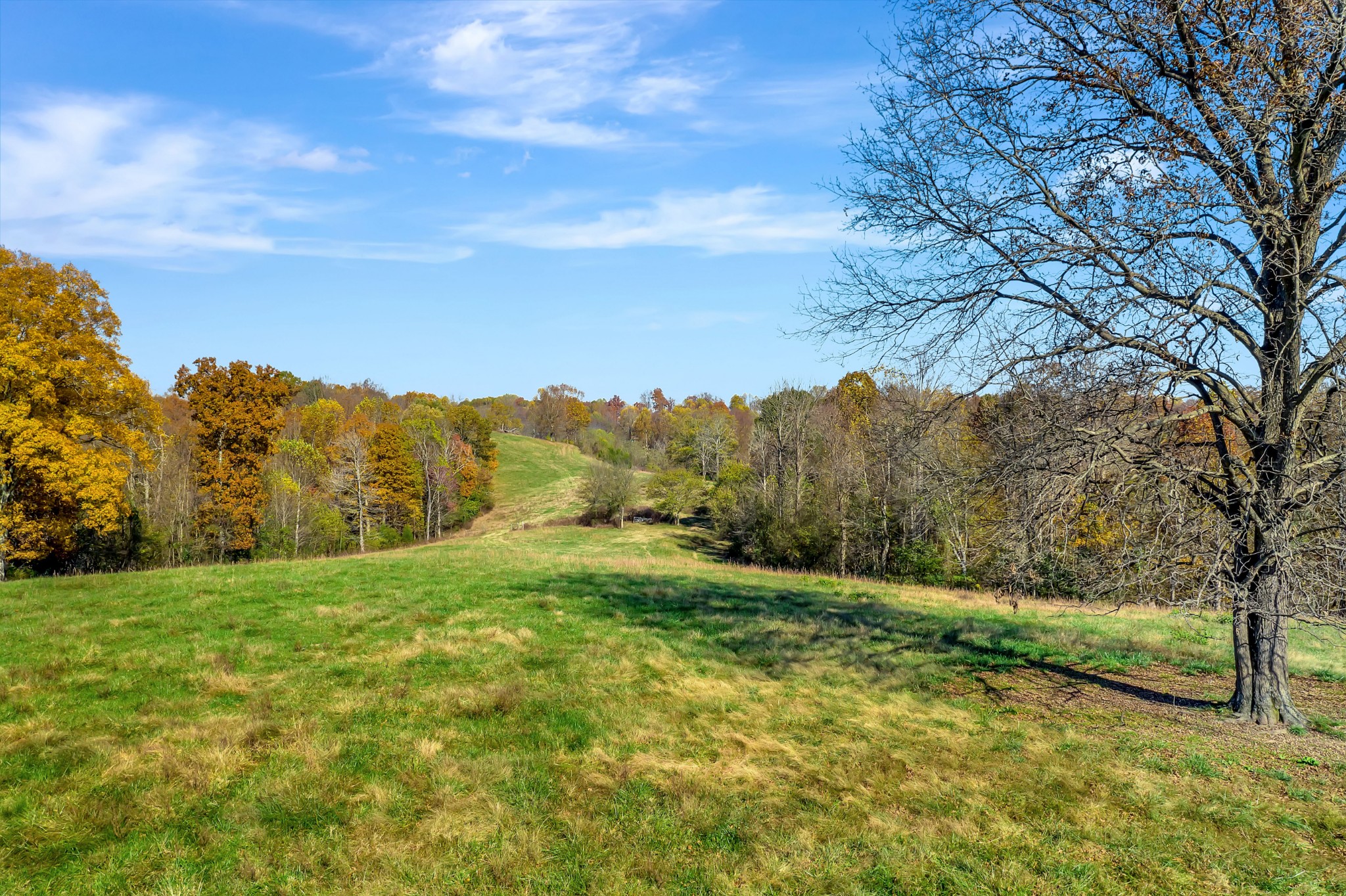 0 Buttermilk Hollow Road Bethpage, TN 37022 - Photo 7 of 14 a view of an outdoor space and a yard