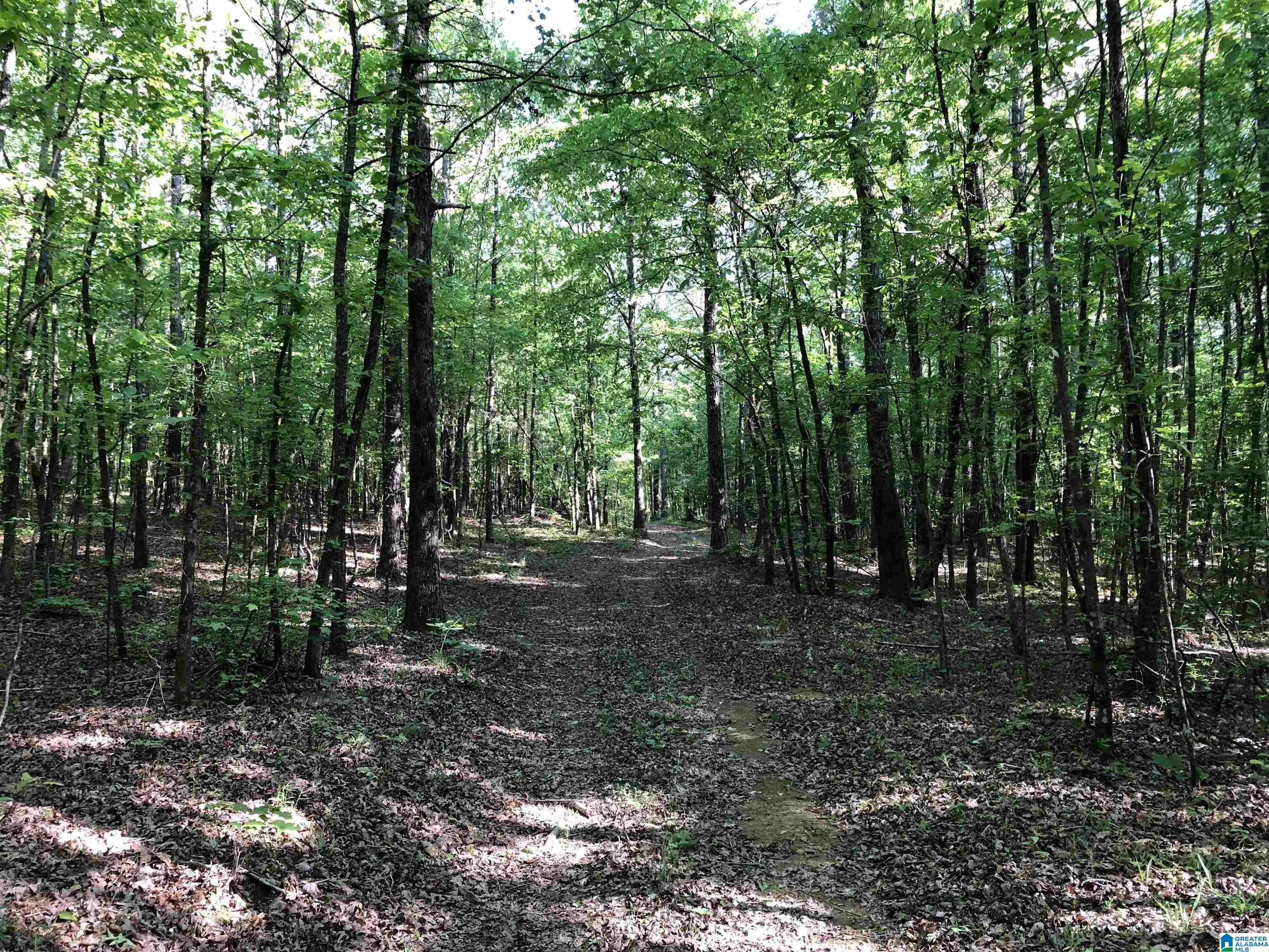 61 Copper Road Columbiana, AL 35051 - Photo 2 of 15