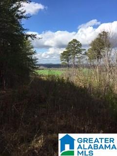 0 Henderson Lake Road, Unit 128 Munford, AL 36268 - Photo 19 of 31