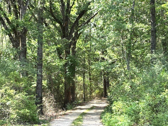 37 Adron Boyd Road Tylertown, MS 39667 - Photo 12 of 60 Photo 11