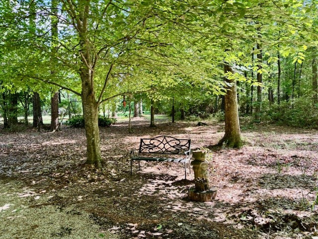 37 Adron Boyd Road Tylertown, MS 39667 - Photo 43 of 44 Photo 43