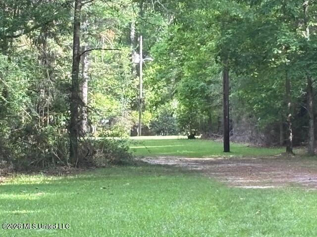 37 Adron Boyd Road Tylertown, MS 39667 - Photo 55 of 60 IMG_8059