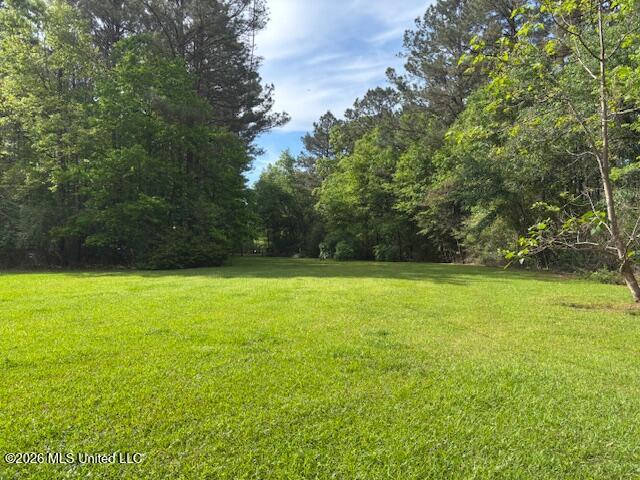 37 Adron Boyd Road Tylertown, MS 39667 - Photo 60 of 60 IMG_8078