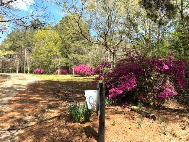 37 Adron Boyd Road Tylertown, MS 39667 - Photo 8 of 44 Photo 8