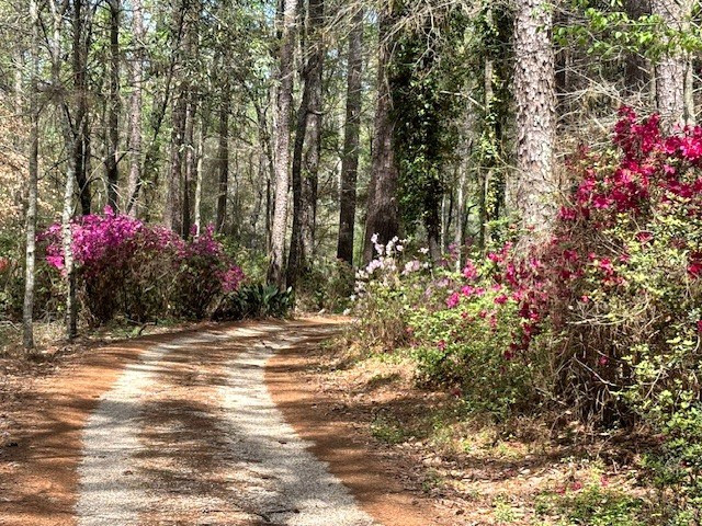 37 Adron Boyd Road Tylertown, MS 39667 - Photo 10 of 60 Photo 9