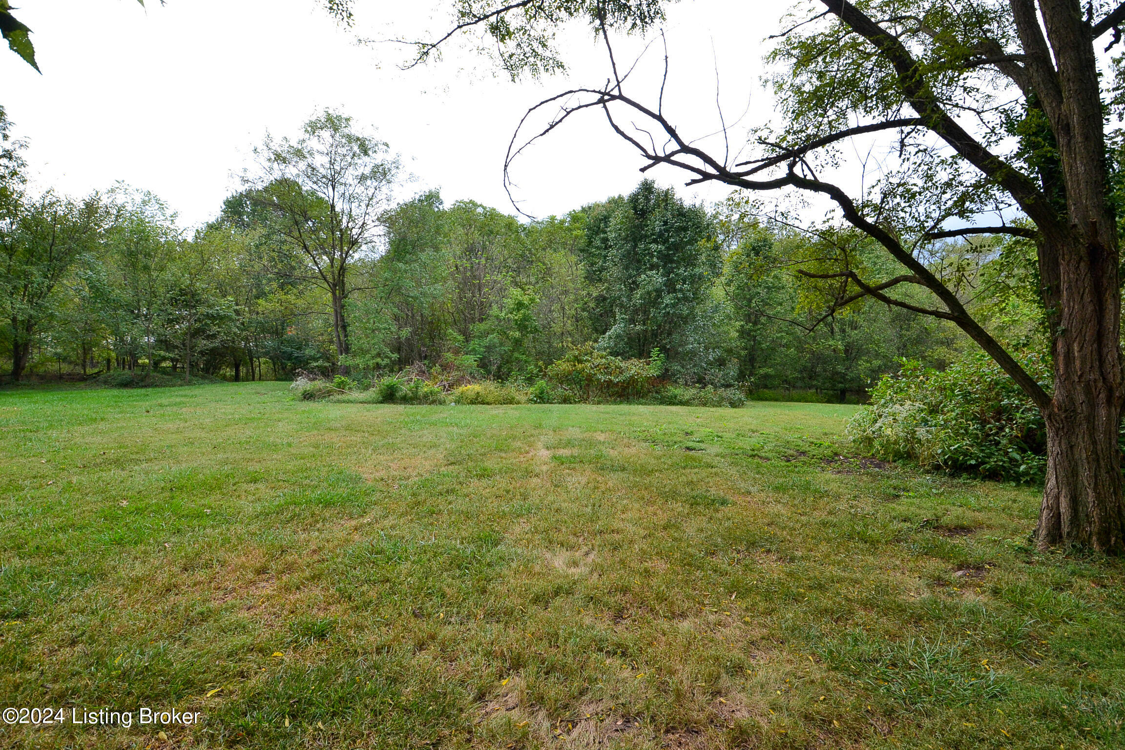 13300 East Orell Road Louisville, KY 40272 - Photo 8 of 36 DSC_0502
