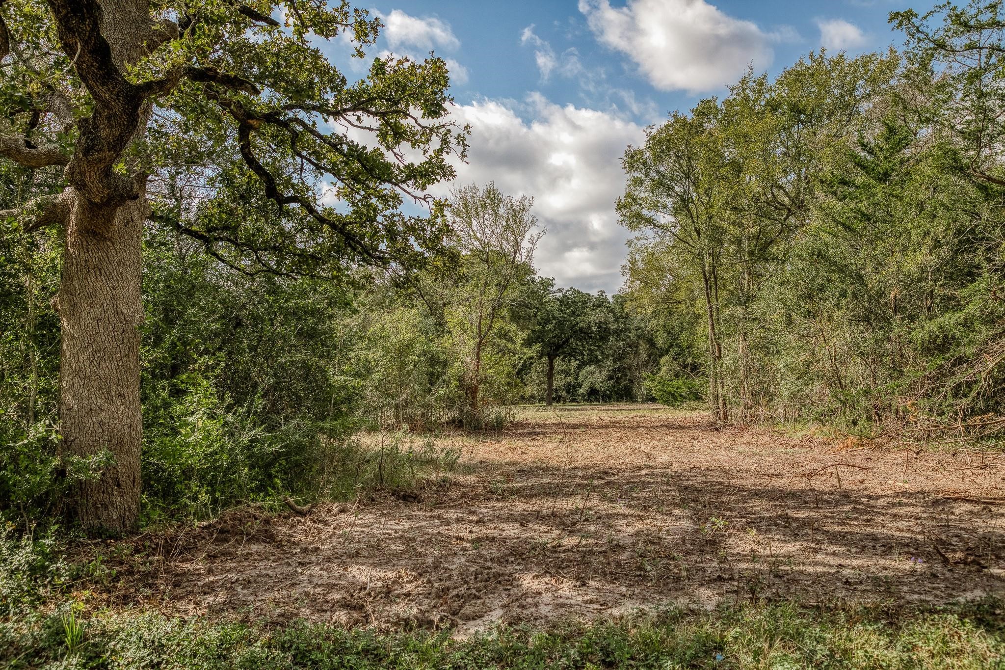 Tbd Sun Oil Road Brenham, TX 77833 - Photo 36 of 37 a view of outdoor space with trees all around