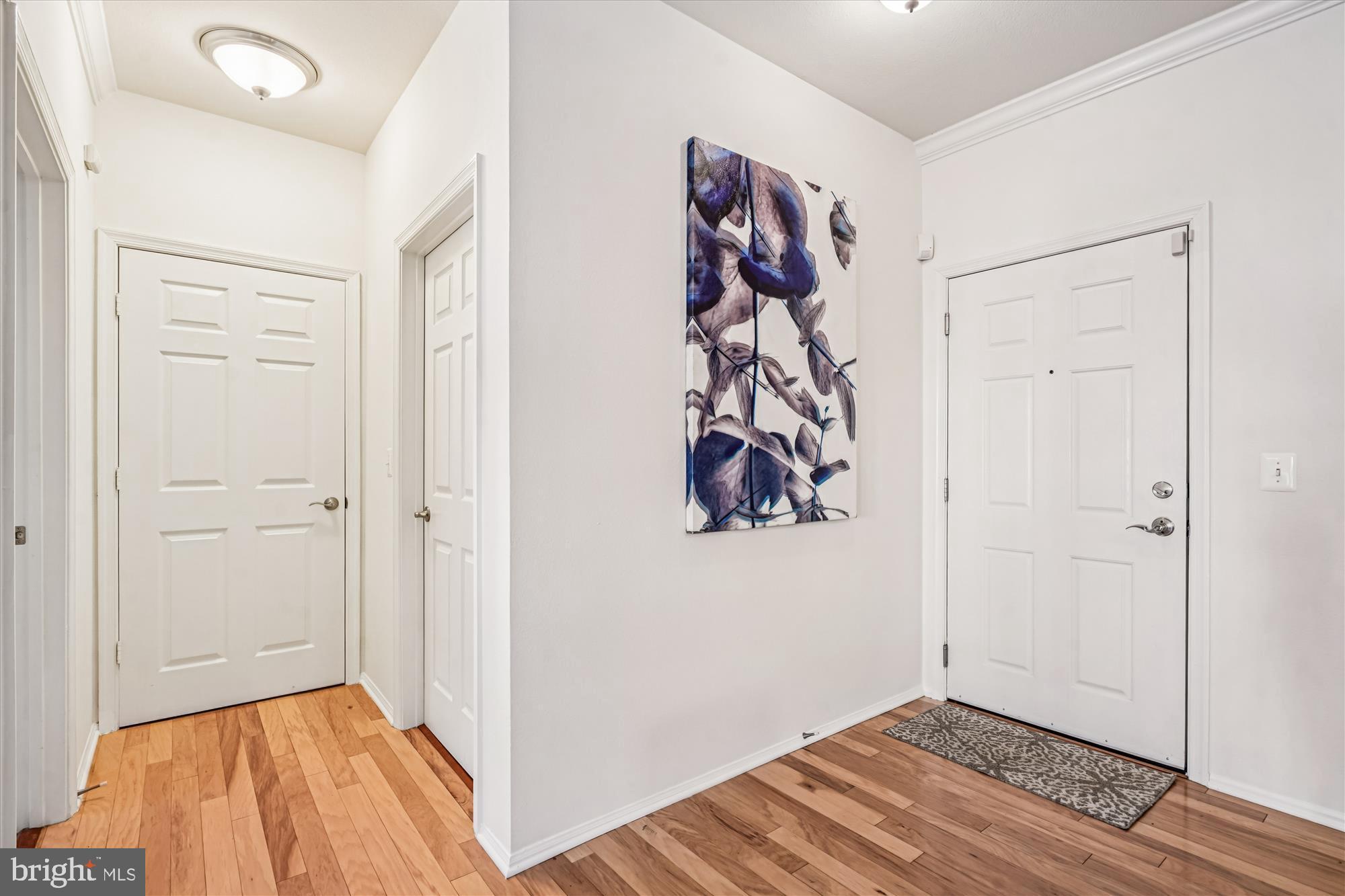 11750 Old Georgetown Road, Unit 2313 Rockville, MD 20852 - Photo 12 of 59 Inviting entry foyer