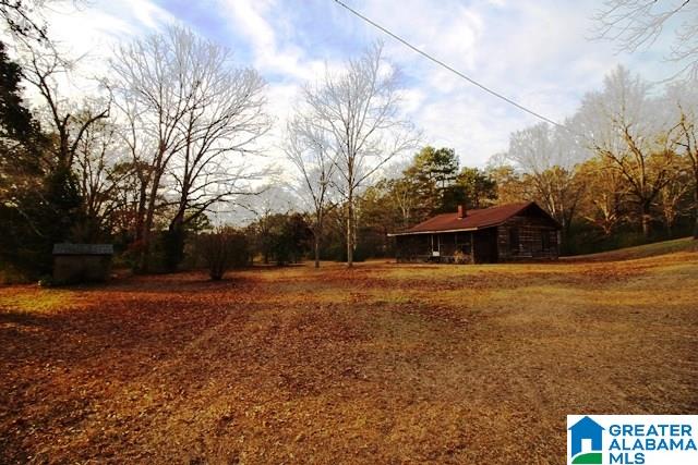 264 Pepper Road Cropwell, AL 35054 - Photo 18 of 38
