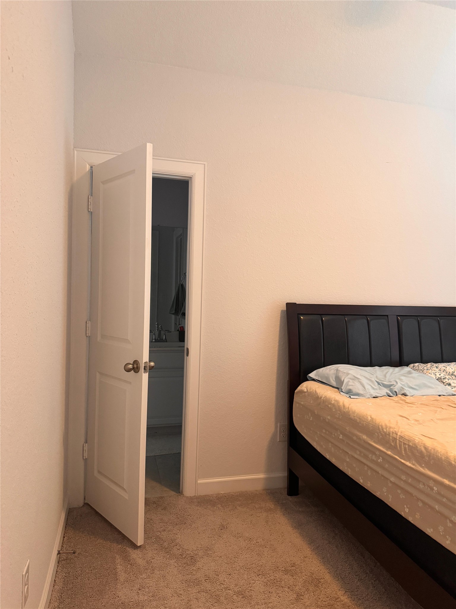 650 Wild Pecan Loop Buda, TX 78610 - Photo 23 of 28 Bedroom with light colored carpet and baseboards