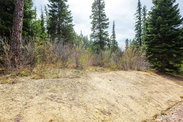 a view of a yard with trees