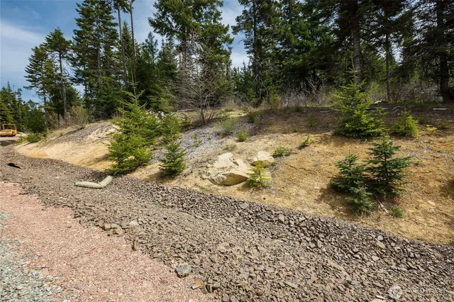 a view of a yard with a tree