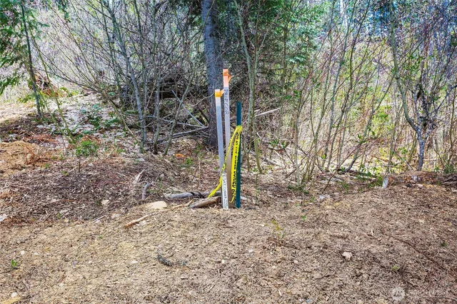 a flag is sitting in middle of forest
