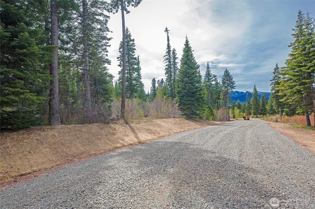 a backyard of a house with a trees