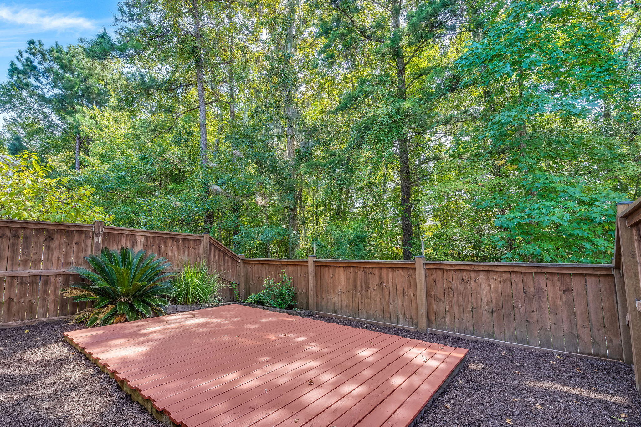 4162 Veritas Street Charleston, SC 29414 - Photo 30 of 36 35