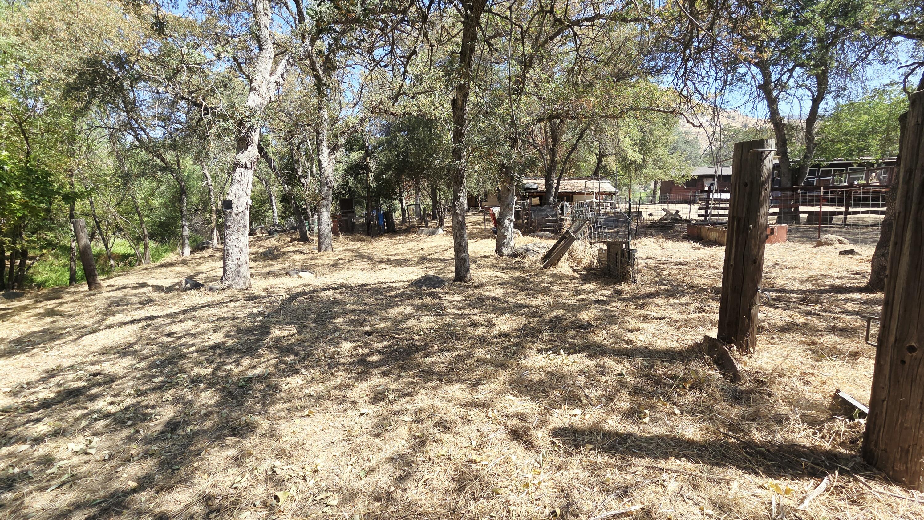 37647 Rio Vista Road Springville, CA 93265 - Photo 23 of 40 20260719_102218