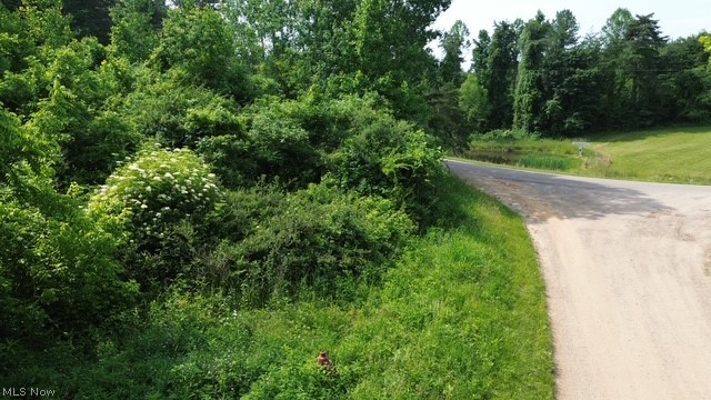 0 East Side Hayman Road Long Bottom, OH 45743 - Photo 5 of 14