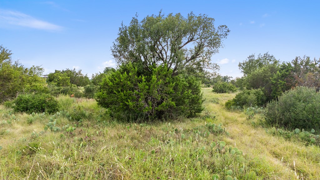 Lot 40 West Ranch Road, Unit 40 Round Mountain, TX 78663 - Photo 11 of 23