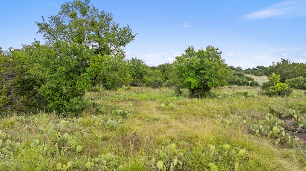 Lot 40 West Ranch Road, Unit 40 Round Mountain, TX 78663 - Photo 12 of 23