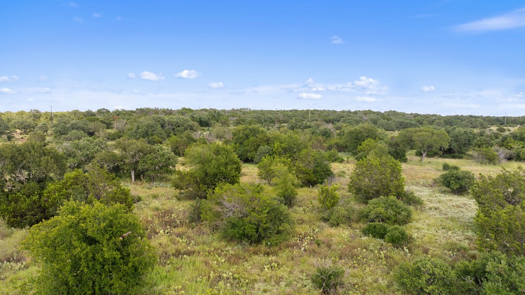 Lot 40 West Ranch Road, Unit 40 Round Mountain, TX 78663 - Photo 13 of 23