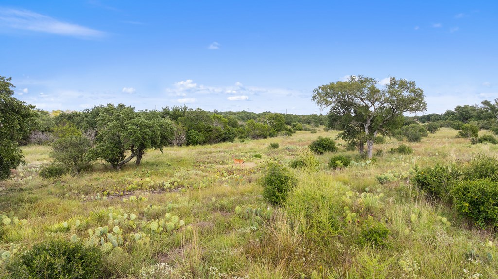 Lot 40 West Ranch Road, Unit 40 Round Mountain, TX 78663 - Photo 16 of 23