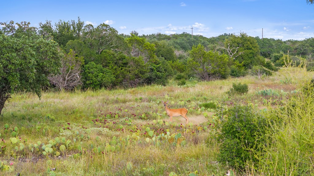 Lot 40 West Ranch Road, Unit 40 Round Mountain, TX 78663 - Photo 17 of 23