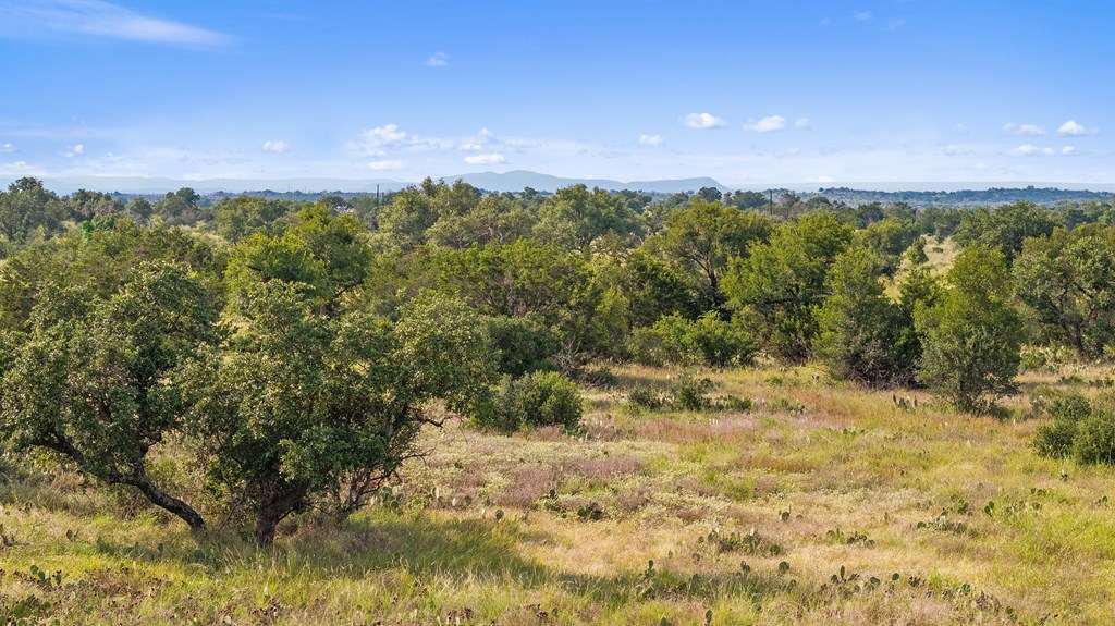 Lot 40 West Ranch Road, Unit 40 Round Mountain, TX 78663 - Photo 19 of 23