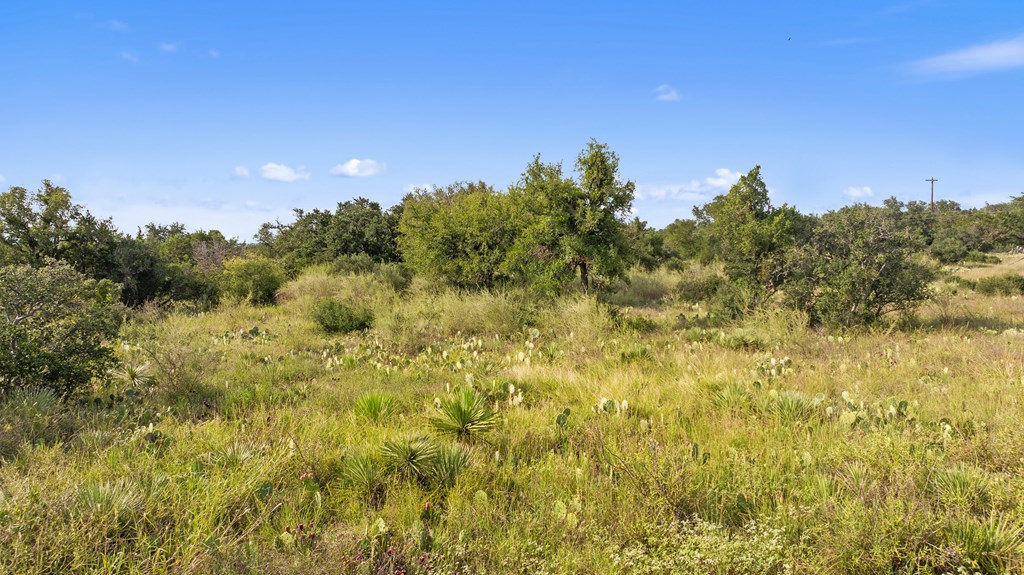 Lot 40 West Ranch Road, Unit 40 Round Mountain, TX 78663 - Photo 22 of 23