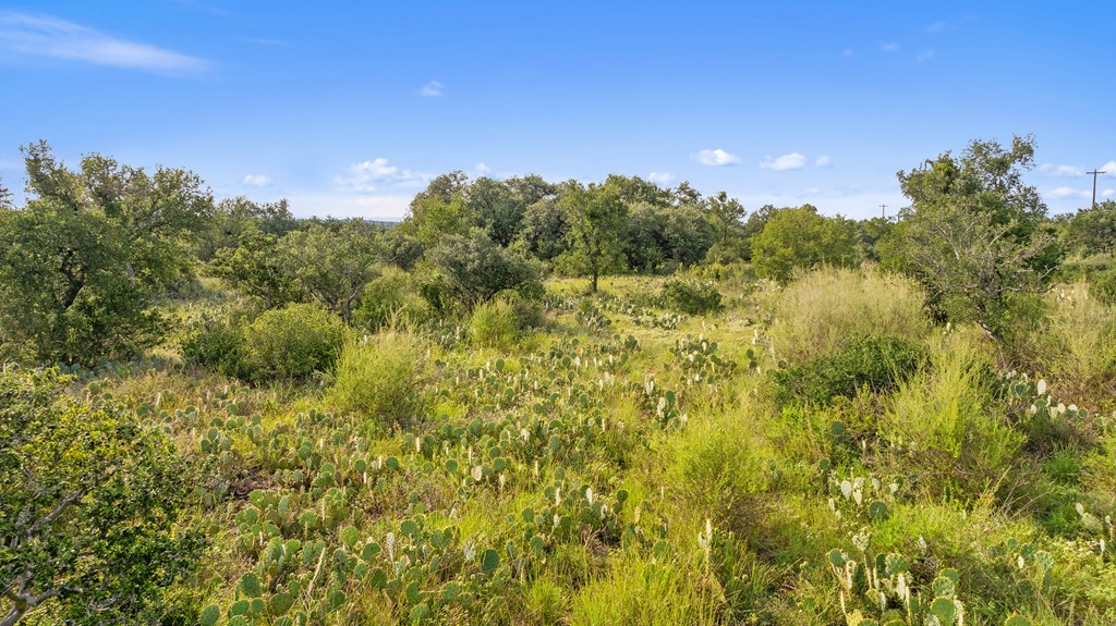 Lot 40 West Ranch Road, Unit 40 Round Mountain, TX 78663 - Photo 5 of 23
