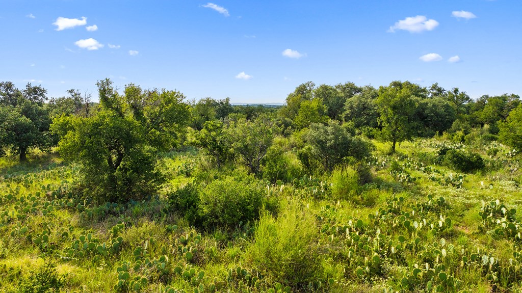 Lot 40 West Ranch Road, Unit 40 Round Mountain, TX 78663 - Photo 6 of 23