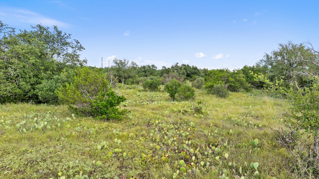 Lot 40 West Ranch Road, Unit 40 Round Mountain, TX 78663 - Photo 9 of 23