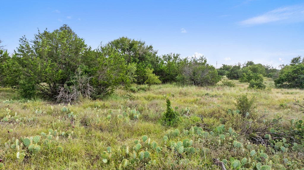 Lot 40 West Ranch Road, Unit 40 Round Mountain, TX 78663 - Photo 10 of 23