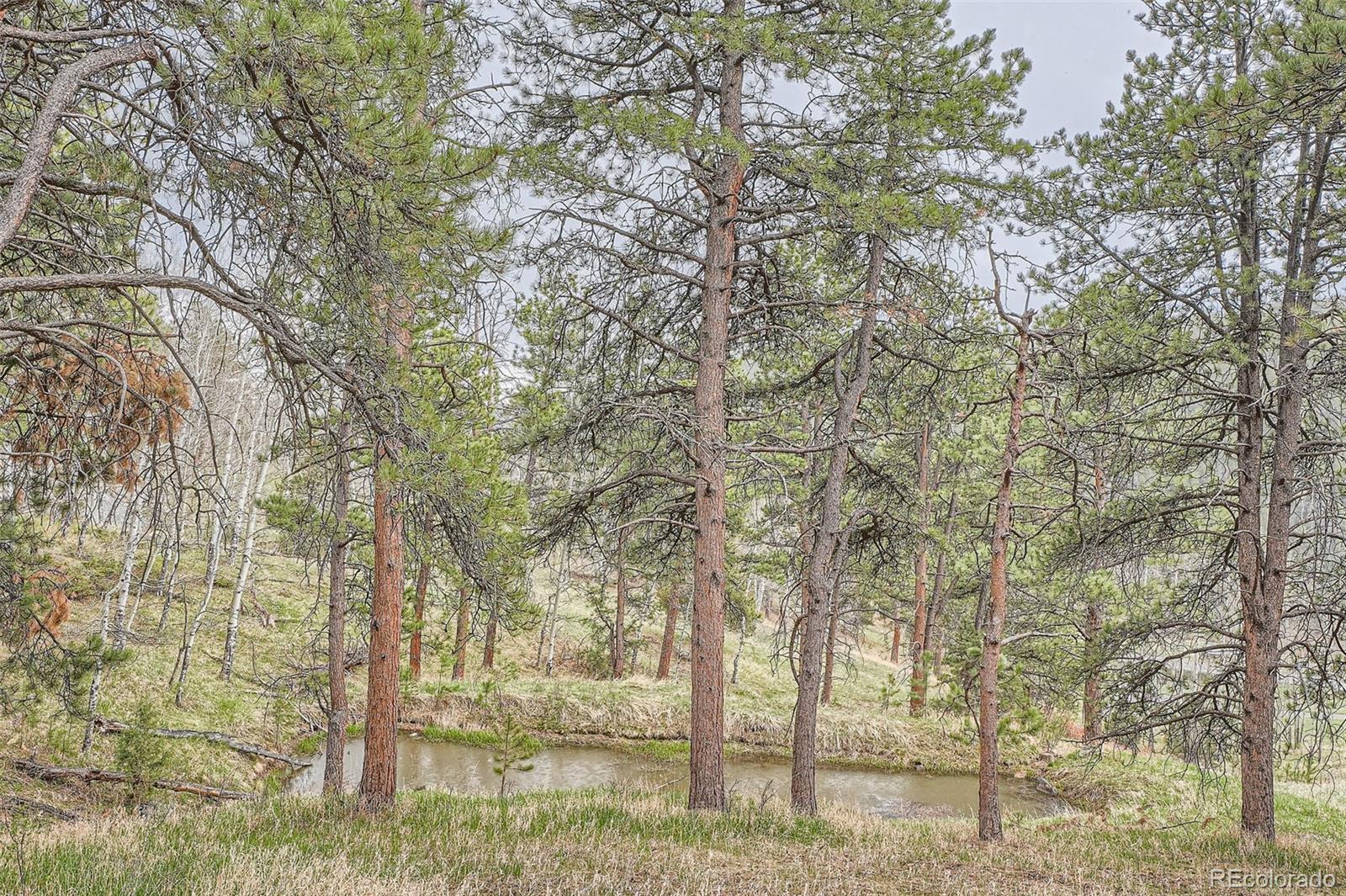 21191 Pleasant Park Road Conifer, CO 80433 - Photo 20 of 44