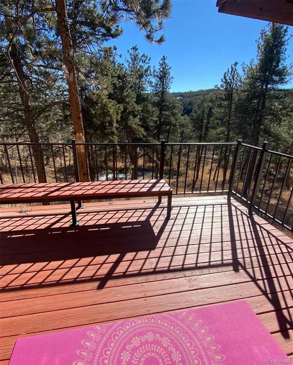 21191 Pleasant Park Road Conifer, CO 80433 - Photo 32 of 44 a view of swimming pool with lounge chair
