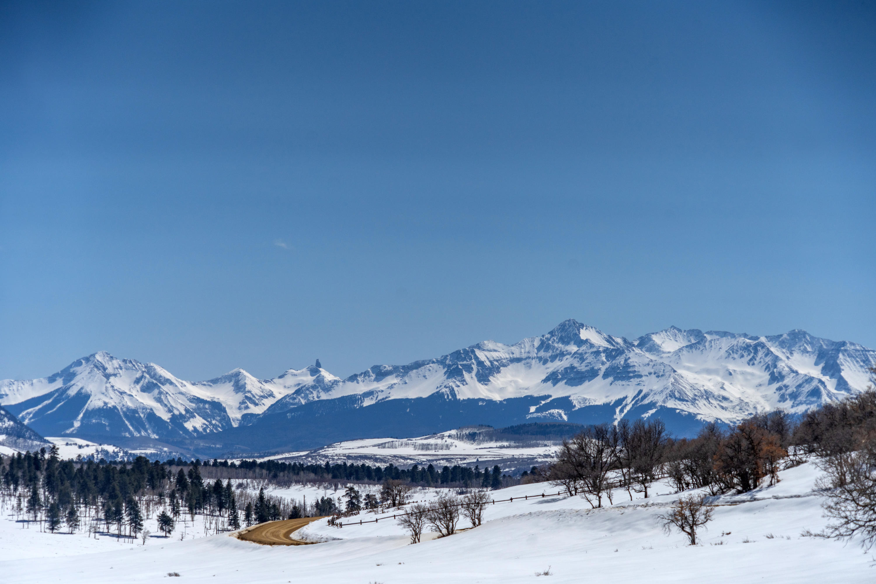 Tbd McKenzie Springs Road Placerville, CO 81430 - Photo 5 of 9 a view of a backyard with a mountain