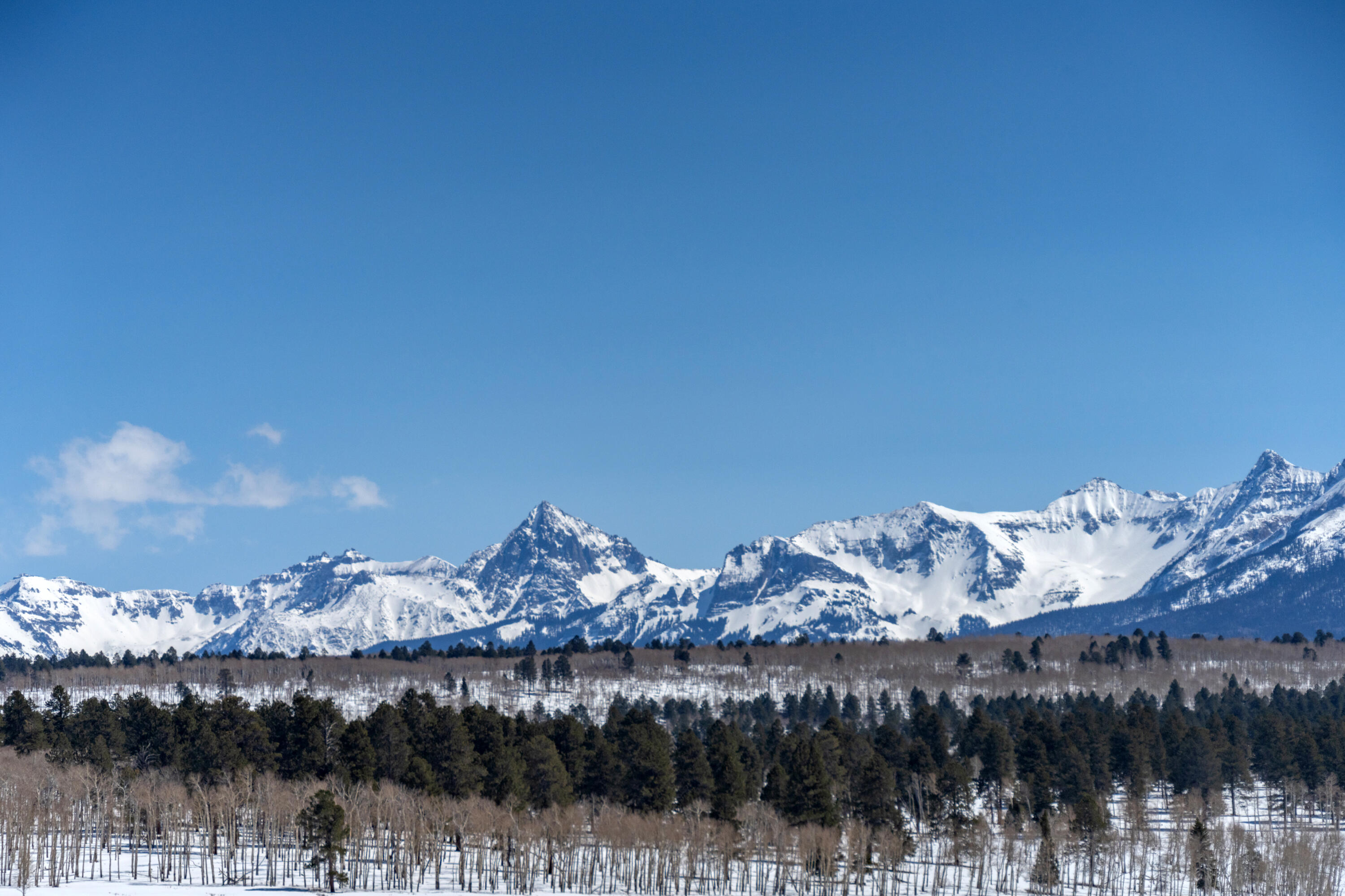 Tbd McKenzie Springs Road Placerville, CO 81430 - Photo 7 of 9 a view of a lake with a mountain in the background