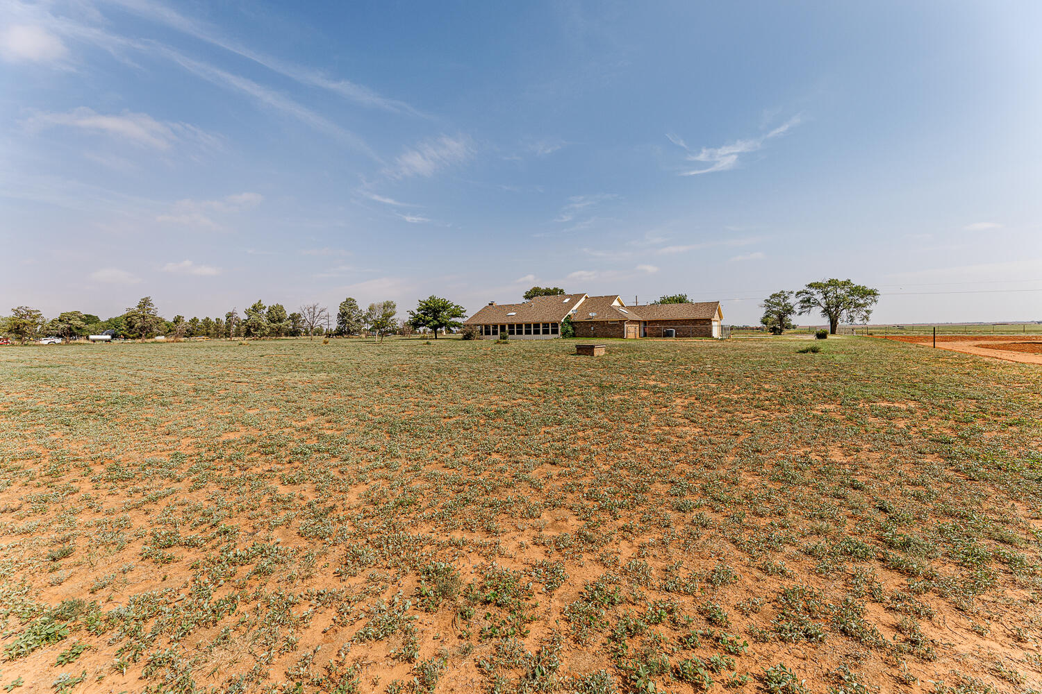10025 Woodrow Road Ropesville, TX 79358 - Photo 66 of 78 Back Yard