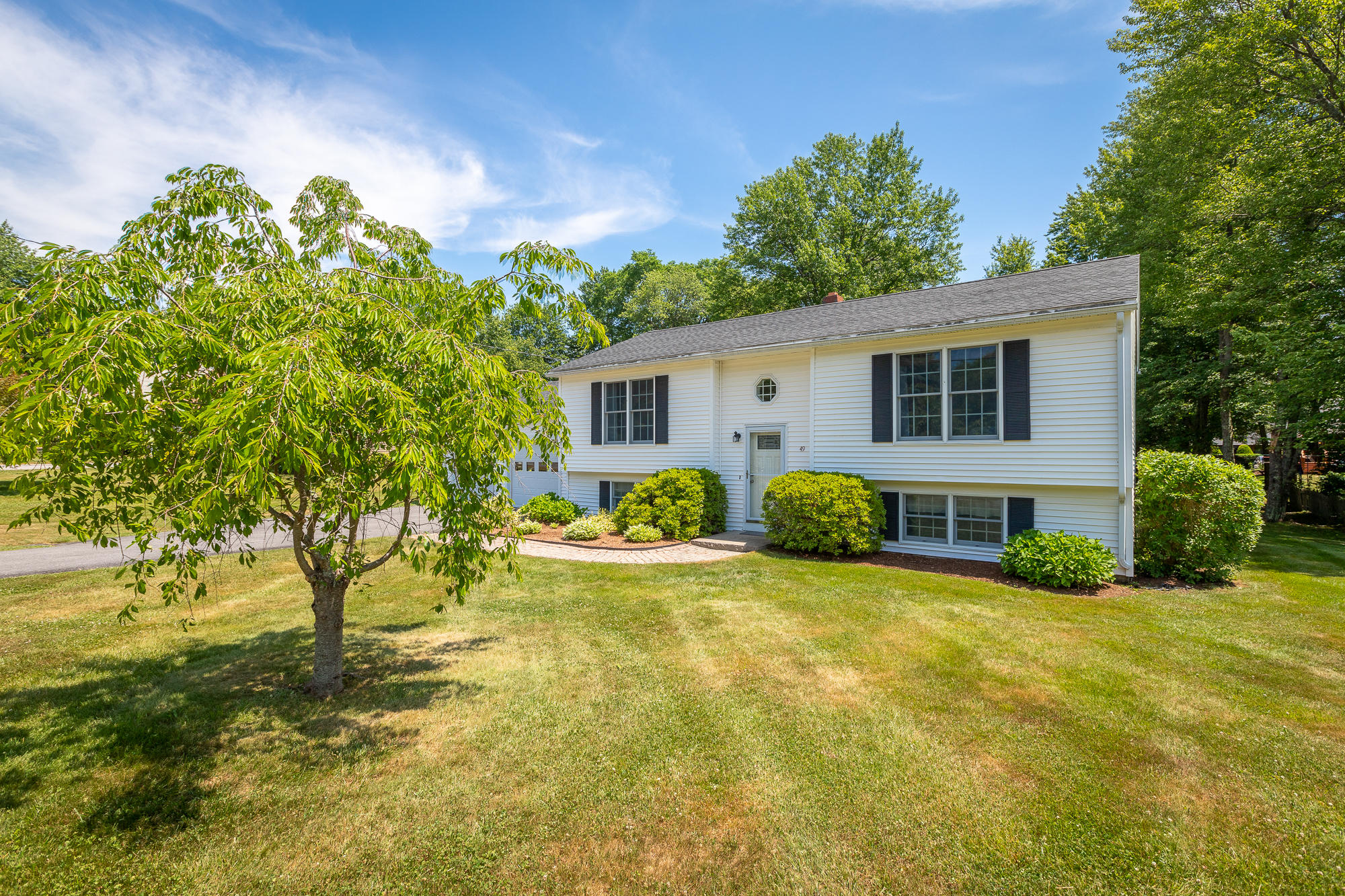 2-49 Buttonwood